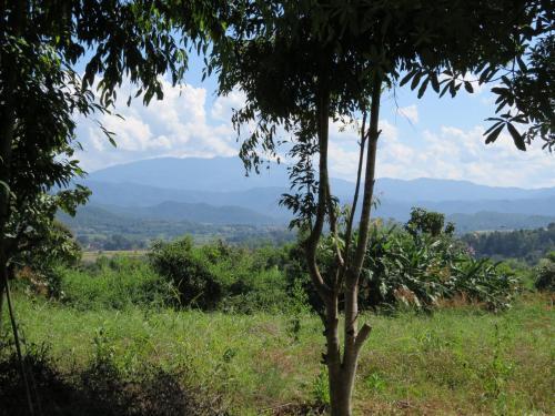 Паи: The Mountain View Backpacker Guest House