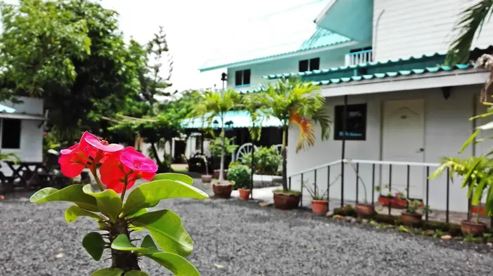 Нанг-Ронг: P California Inter Hostel