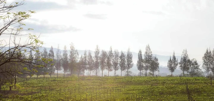 Ванг Нам Кхио: Village Farm and Winery