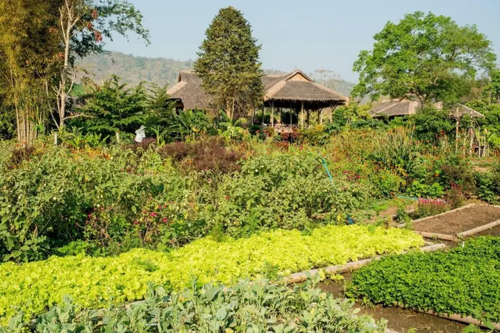 Мае-Таенг: Lisu Lodge