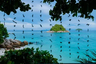 пляж Санрайз: Serendipity Beach Resort Koh Lipe
