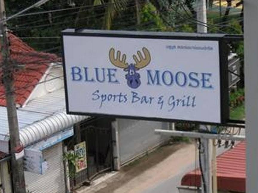 Blue Moose Apartments — фото 1