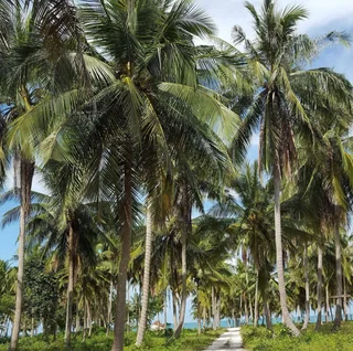 Ханом: Ban Thanyanan Resort
