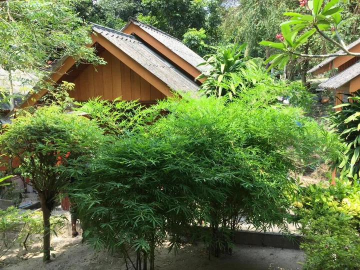 Мэй-Хаад-Бэй: Save Bungalows
