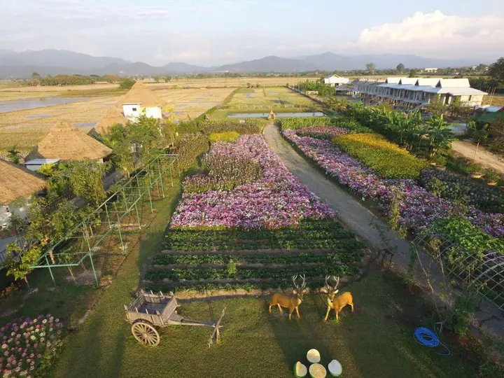 Мае-Таенг: Phusanfah Resort