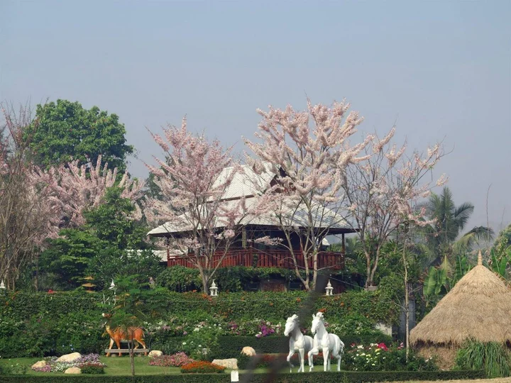 Мае-Таенг: Phusanfah Resort