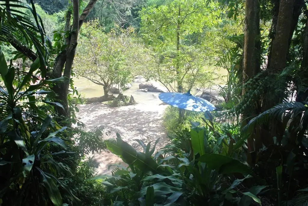 Бан Каенг Сонг: Rain Forest Resort