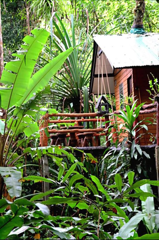 Khaosok Treehouse Resort — фото 6