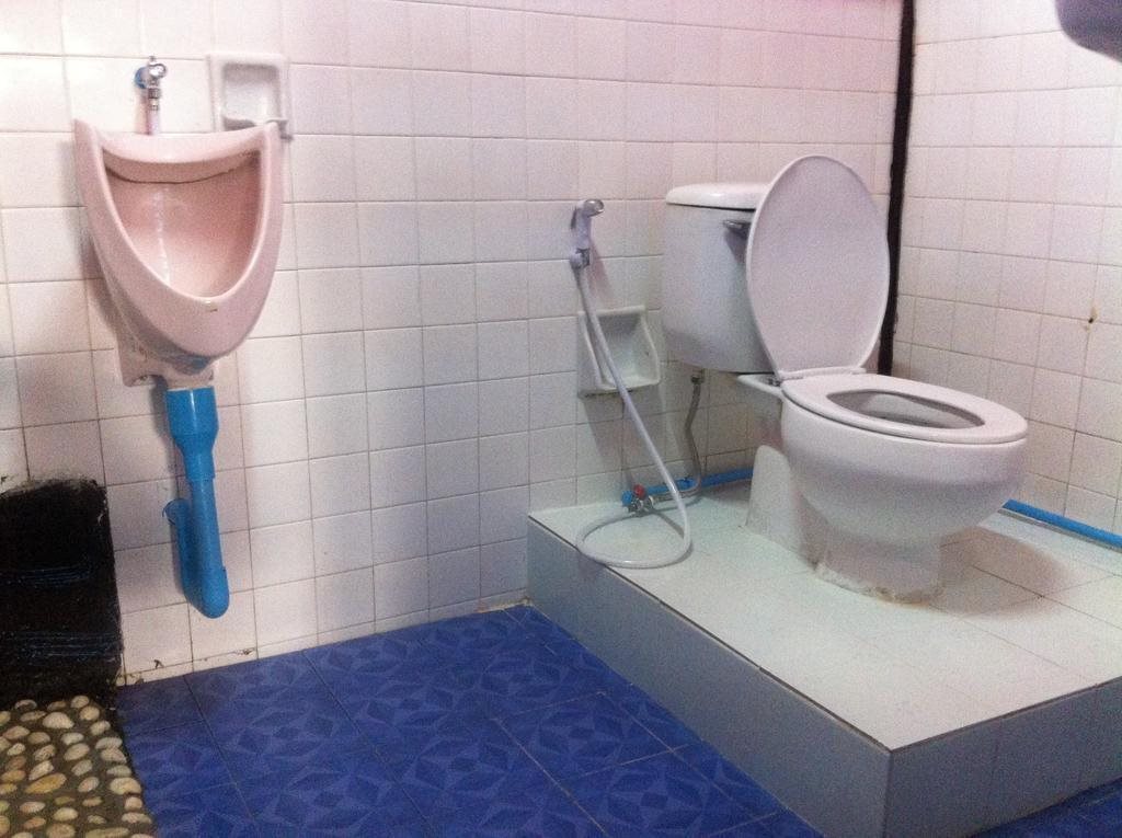 Чиангмай: Elephant Retirement Hostel