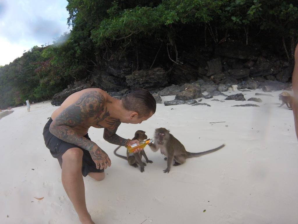Пхи-Пхи-Дон: Coma Hostel and Travel Agency