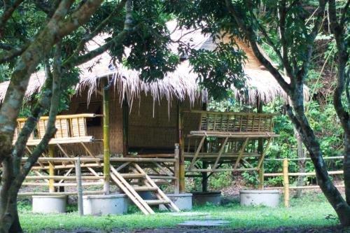 Мае-Таенг: Cool Bananas Homestay