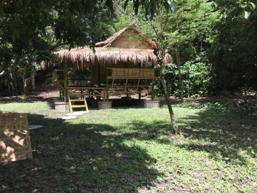 Мае-Таенг: Cool Bananas Homestay