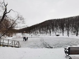 Владивосток: Отель Седанка Парк