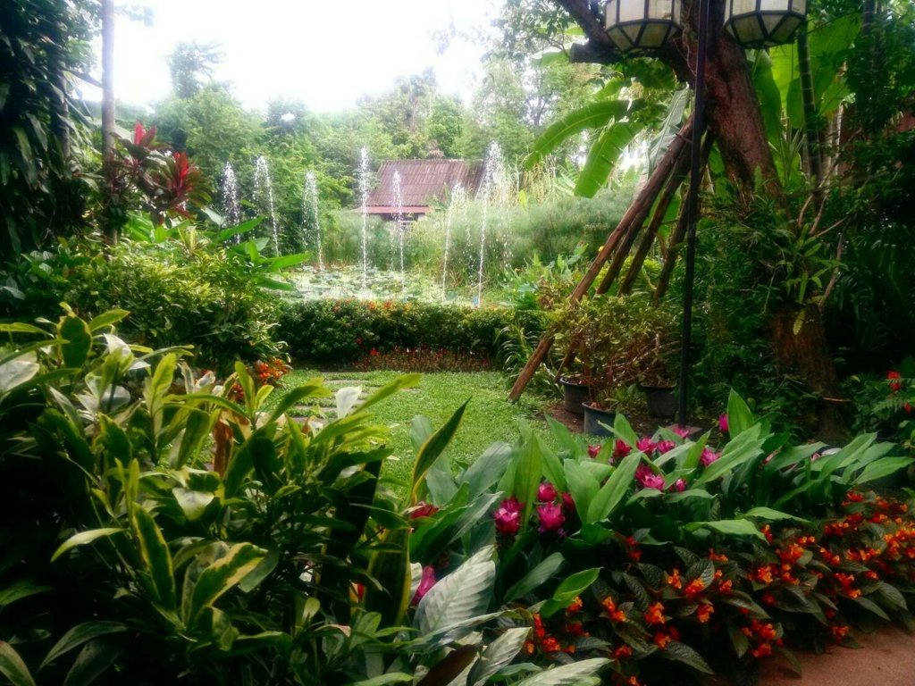 Чиангмай: Viang Thapae Resort