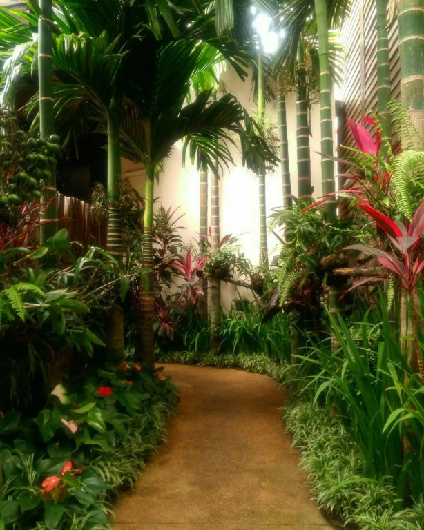 Чиангмай: Viang Thapae Resort