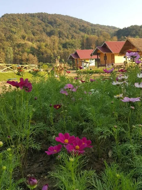 Пуа: Peisanae Faikeng Resort