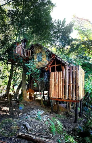 Дой-Сакет: Rabeang Pasak Treehouse Resort