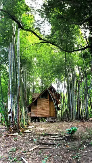 Дой-Сакет: Rabeang Pasak Treehouse Resort
