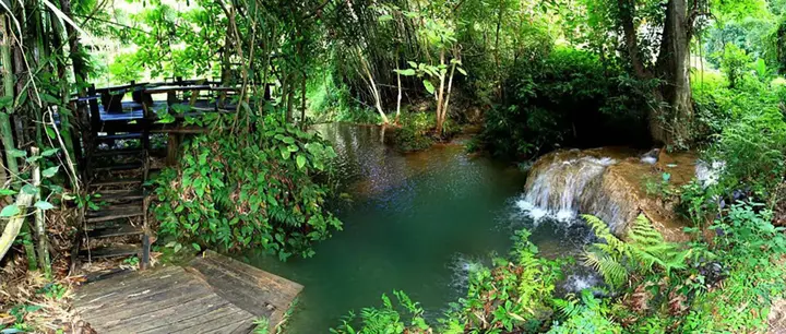 Дой-Сакет: Rabeang Pasak Treehouse Resort