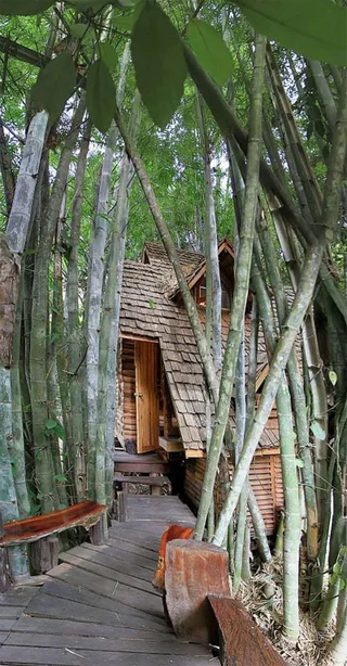 Дой-Сакет: Rabeang Pasak Treehouse Resort