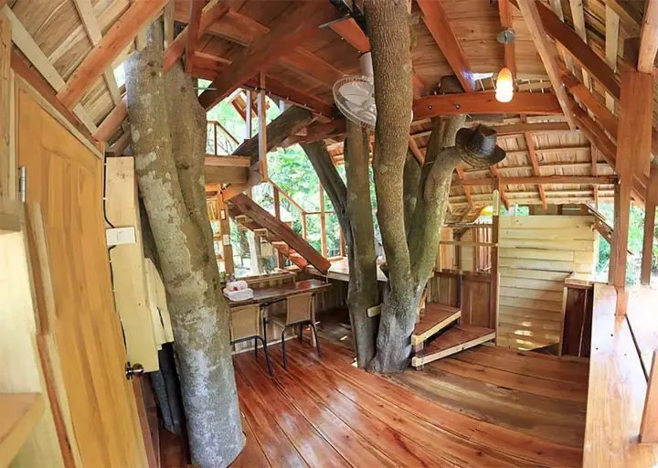 Дой-Сакет: Rabeang Pasak Treehouse Resort