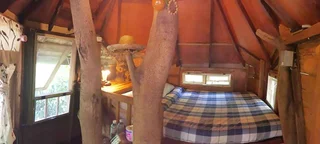 Дой-Сакет: Rabeang Pasak Treehouse Resort