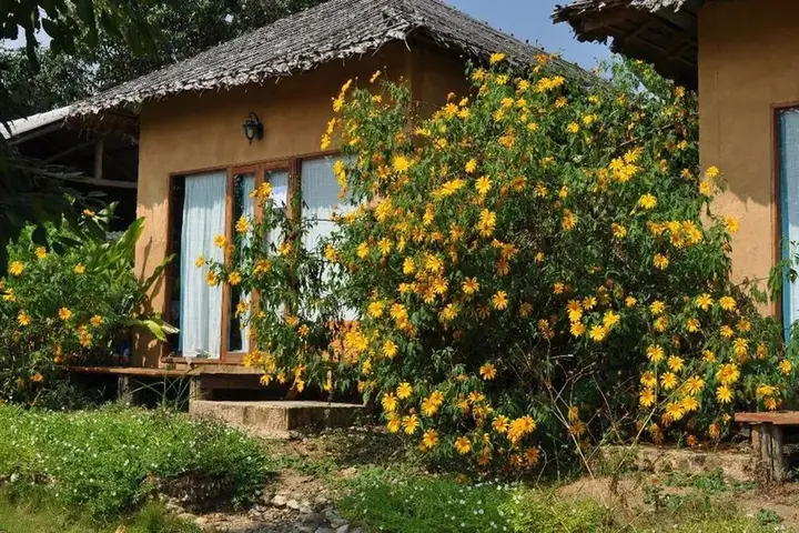 Паи: Baan Chomdoi Resort