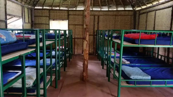 Паи: Jungle Zone
