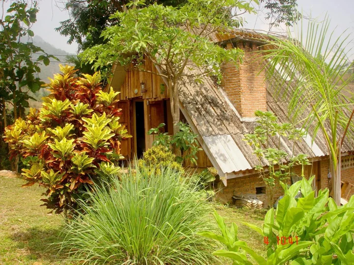 Паи: Jungle Zone