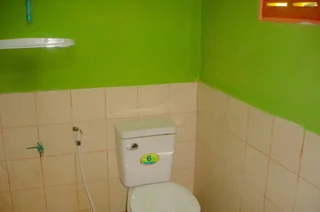 Паи: Jungle Zone