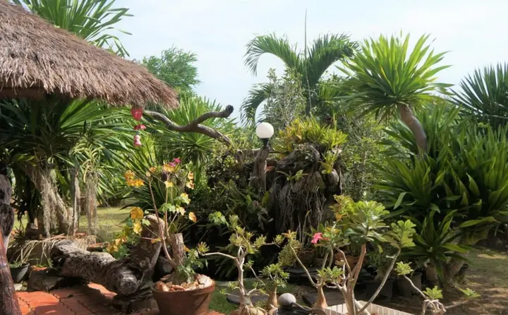 Сам-Рои-Йот: Good Hart Homestay