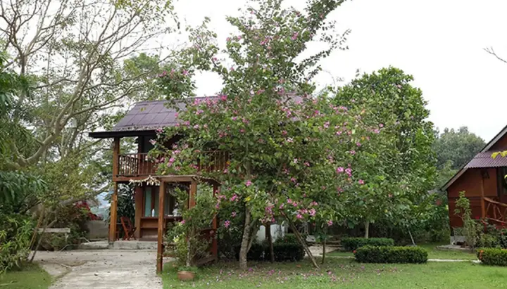 Паи: Baan Rabiang Pai
