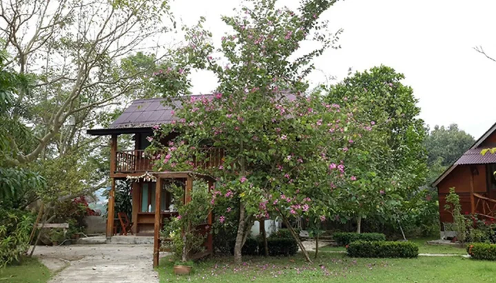Паи: Baan Rabiang Pai