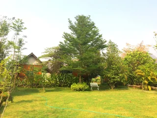 Паи: Baan Rabiang Pai