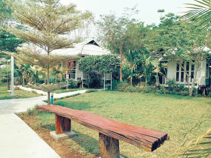 Паи: Canary Guesthouse