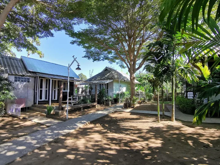 Паи: Canary Guesthouse