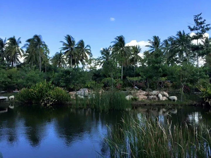 Сураттхани: Ruean Thai Nai Bang by Pansak Resort