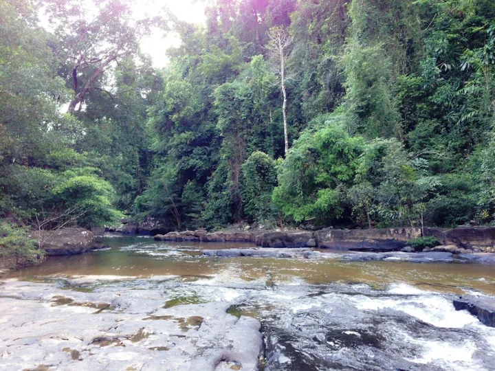 Ко Куд: Jungle Koh Kood Resort