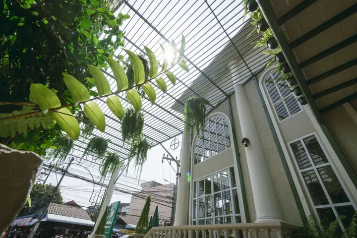 Сонгкхла: Club Tree Hotel
