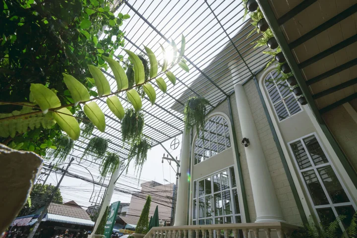 Сонгкхла: Club Tree Hotel