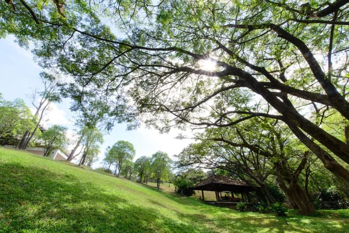 Пак-Чонг: Rain Tree Khao Yai Hotel