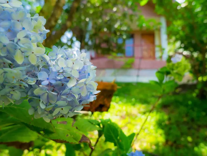 Ранонг: Les Robinsons De Ranong Resort