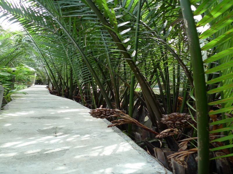 Пхра-Прадэнг: Punntara Botanic Home