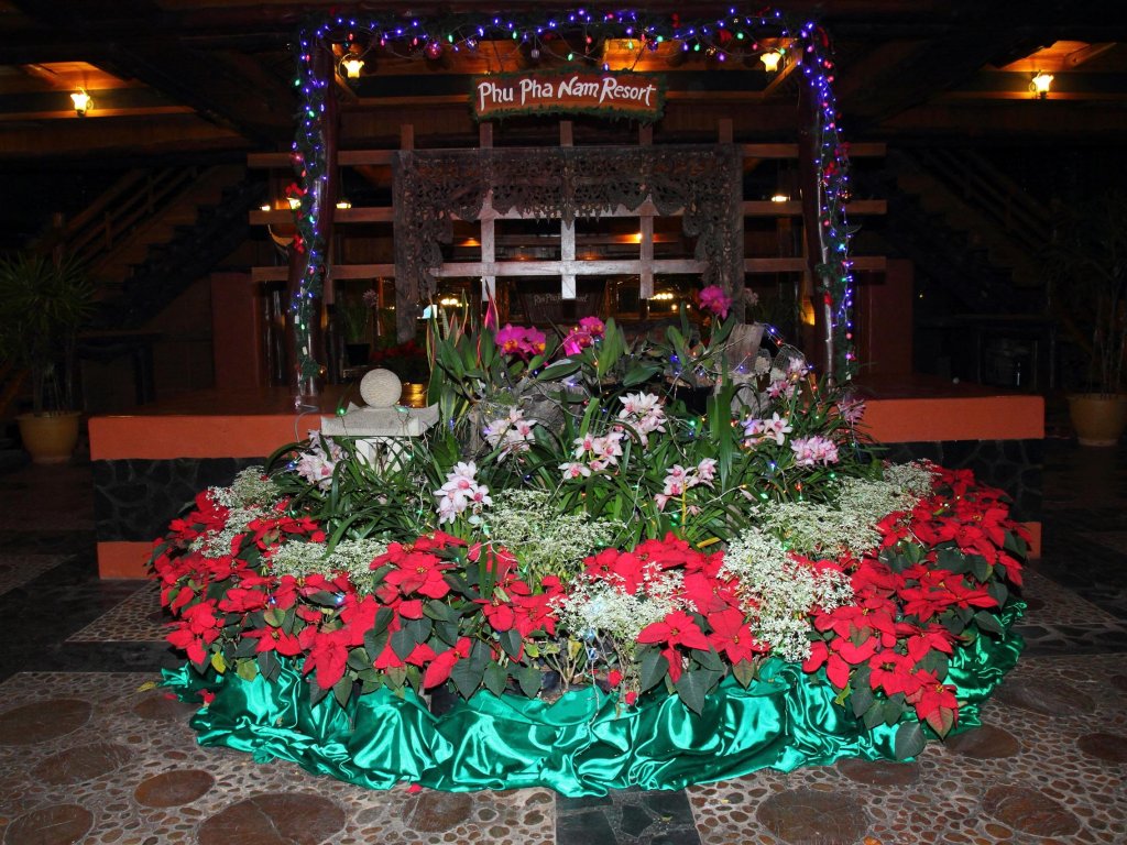 carousel image 2