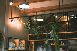 Сураттхани: Journey Hostel Suratthani