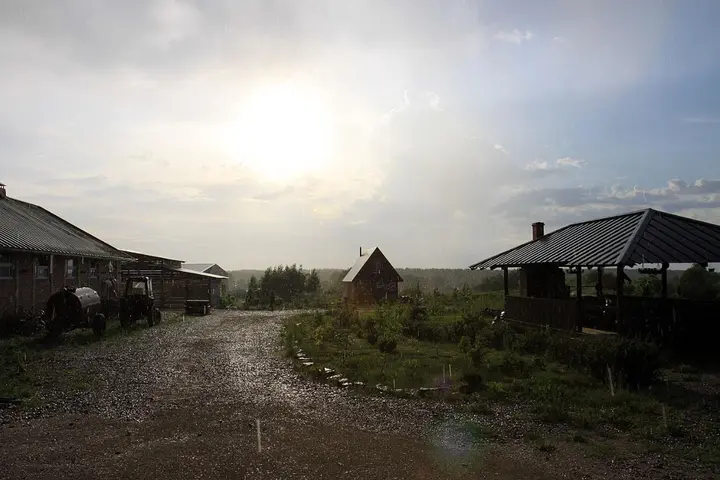 Печки: Inn First Horse
