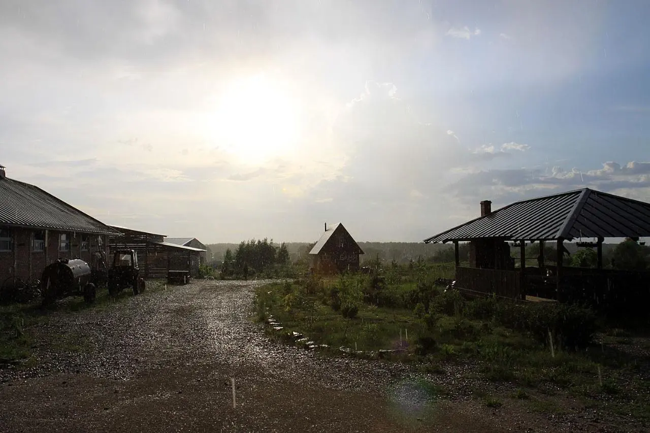 Печки: Inn First Horse