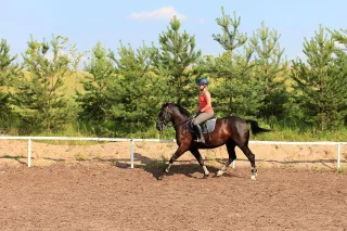 Печки: Inn First Horse