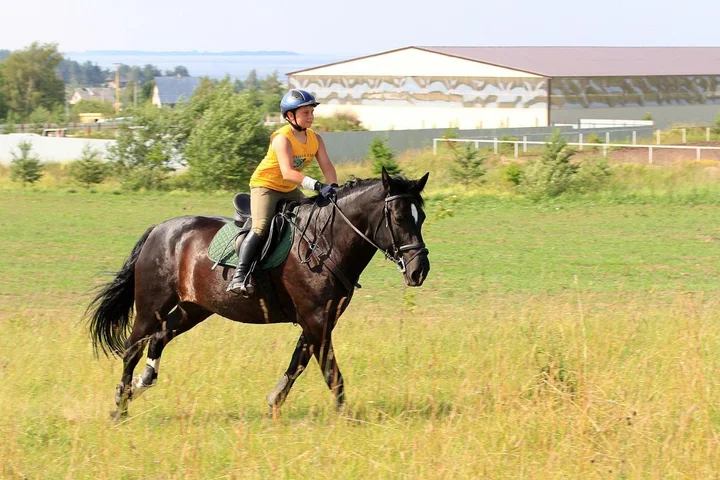 Печки: Inn First Horse