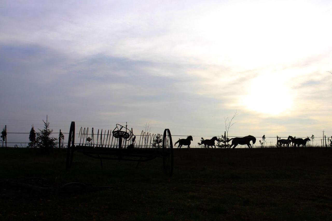 Печки: Inn First Horse